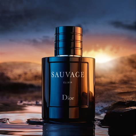 dior sauvage elixir 150ml|sauvage dior elixir 100ml price.